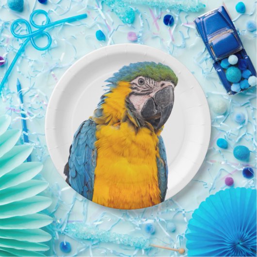 Blue and Gold Macaw Papieren Bordje (Feest)