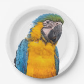 Blue and Gold Macaw Papieren Bordje (Voorkant)
