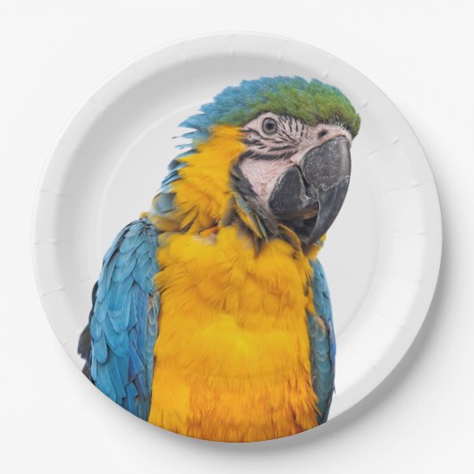 Blue and Gold Macaw Papieren Bordje (Voorkant)