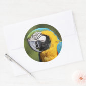 Blue and Gold Macaw Ronde Sticker (Envelop)