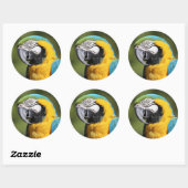 Blue and Gold Macaw Ronde Sticker (Vel)