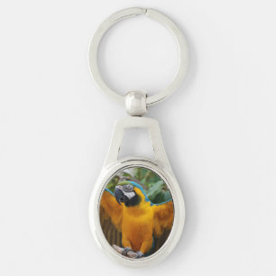 Blue and Gold Macaw Sleutelhanger