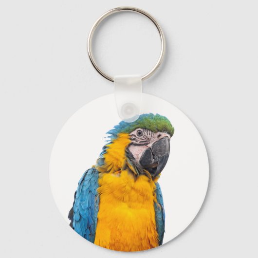 Blue and Gold Macaw Sleutelhanger (Voorkant)