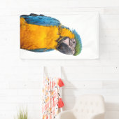 Blue and Gold Macaw Spandoek (Insitu)
