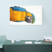 Blue and Gold Macaw Spandoek (Beurs)