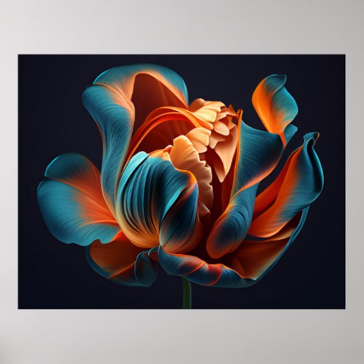 Blue and Orange Tulip on a Bold Black Background Poster (Voorkant)