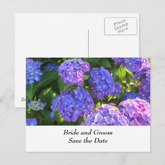 Blue and Paars Wedding Hydrangeas Aankondigingskaart (Voorkant / Achterkant)