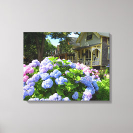Blue and Pink Hydrangeas - Martha's wijngaard Canvas Afdruk