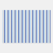 Blue and Red Plaid / Stripe Gift Wrap Inpakpapier Vel (Voorkant 2)