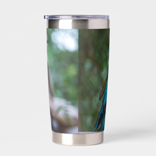 Blue-and-Yellow Macaw Geïsoleerde Drinkbeker (Rechts)