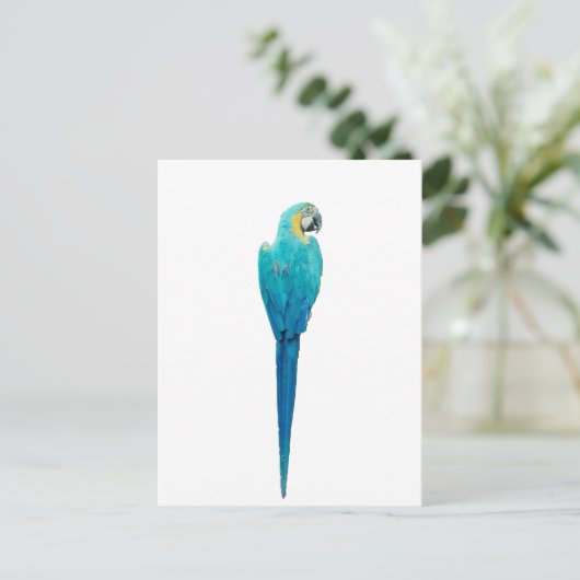 Blue and Yellow Macaw van Junglewalk.com Briefkaart (Staand voorkant)