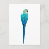 Blue and Yellow Macaw van Junglewalk.com Briefkaart (Voorkant)