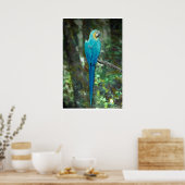 Blue-and-yellow-macaw van JungleWalk.com Poster (Keuken)