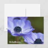 Blue Anemone Briefkaart (Voorkant / Achterkant)