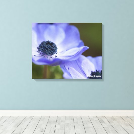 Blue Anemone Canvas Afdruk (Insitu (Houten vloer))