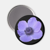 Blue Anemone Flower Magnet (Voorkant / Achterkant)