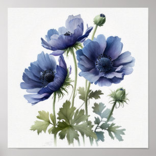 Blue Anemone Flowers Art Print Poster