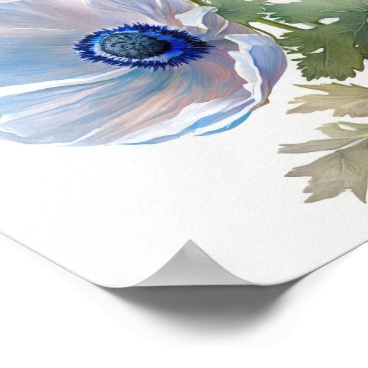 Blue Anemone Flowers Art Print Poster (Hoek)