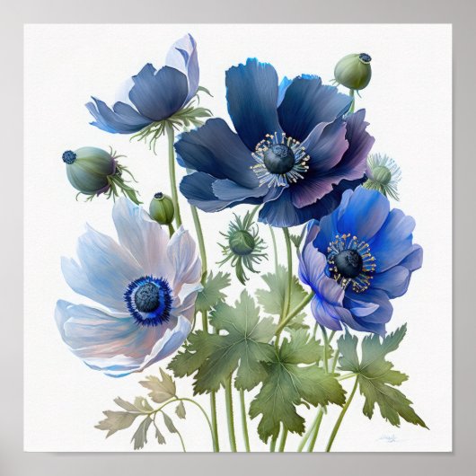 Blue Anemone Flowers Art Print Poster (Voorkant)