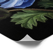 Blue Anemone Flowers Art Print Poster (Hoek)