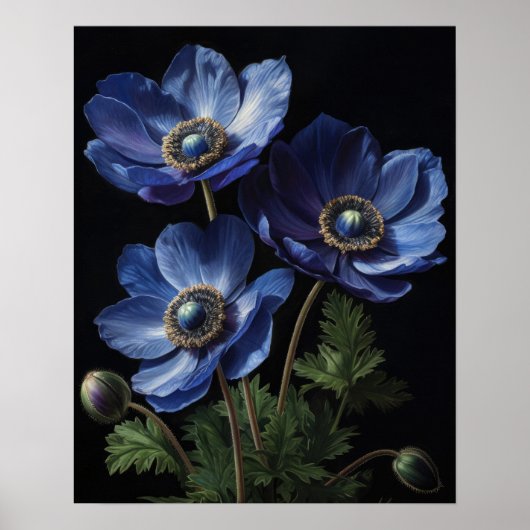 Blue Anemone Flowers Art Print Poster (Voorkant)