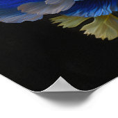 Blue Anemone Flowers Art Print Poster (Hoek)