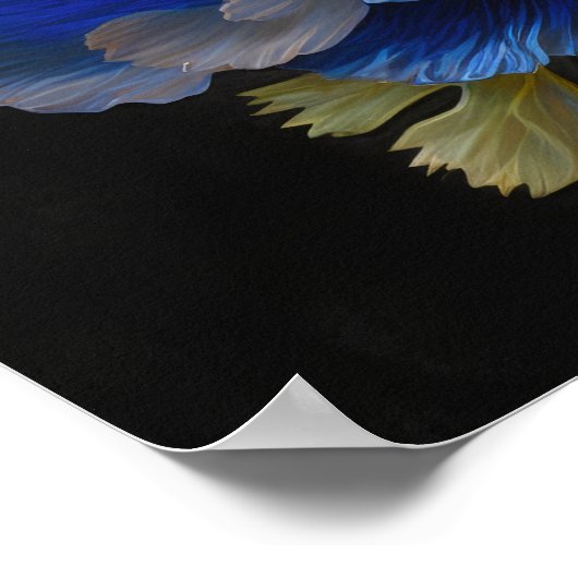 Blue Anemone Flowers Art Print Poster (Hoek)