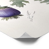 Blue Anemone Flowers Art Print Poster (Hoek)