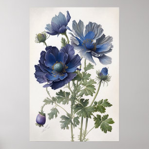 Blue Anemone Flowers Art Print Poster