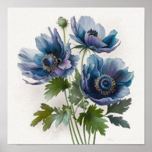 Blue Anemone Flowers Art Print Poster