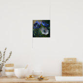 Blue Anemone Flowers Art Print Poster (Keuken)