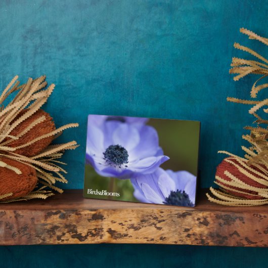 Blue Anemone Fotoplaat (Zijkant)