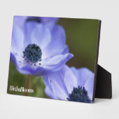 Blue Anemone Fotoplaat (Zijkant)