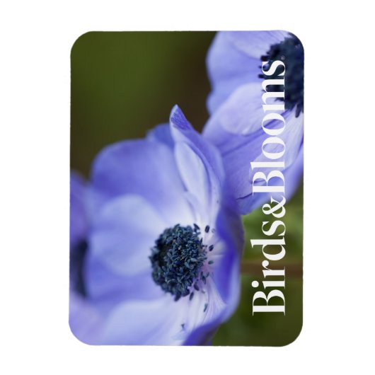 Blue Anemone Magneet (Verticaal)