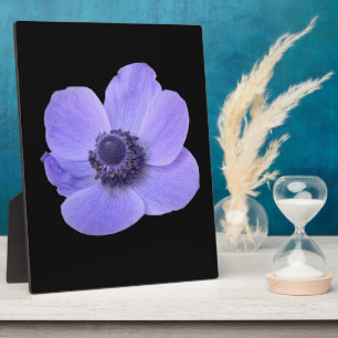 Blue Anemone Plaque Fotoplaat