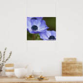 Blue Anemone Poster (Keuken)