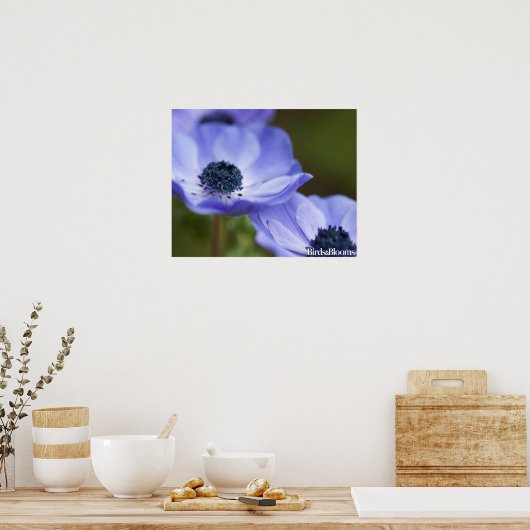 Blue Anemone Poster (Keuken)
