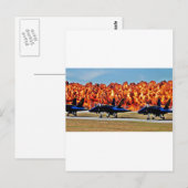 Blue Angel Wall of Fire Briefkaart (Voorkant / Achterkant)