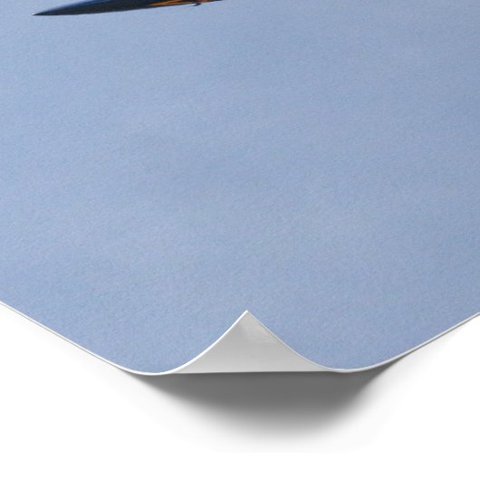 Blue Angels FA-18 Poster (Hoek)