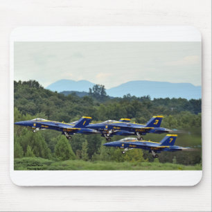 Blue Angels in Hudson Valley Muismat