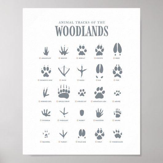 Blue Animal Tracks Woodland Nursery Decor Poster (Voorkant)