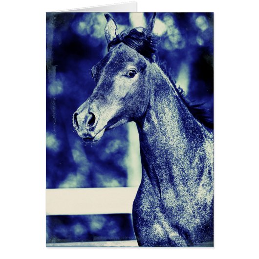 Blue Arabian Digital Art (Voorkant)