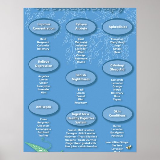 Blue Aromatherapie Chart Poster (Voorkant)
