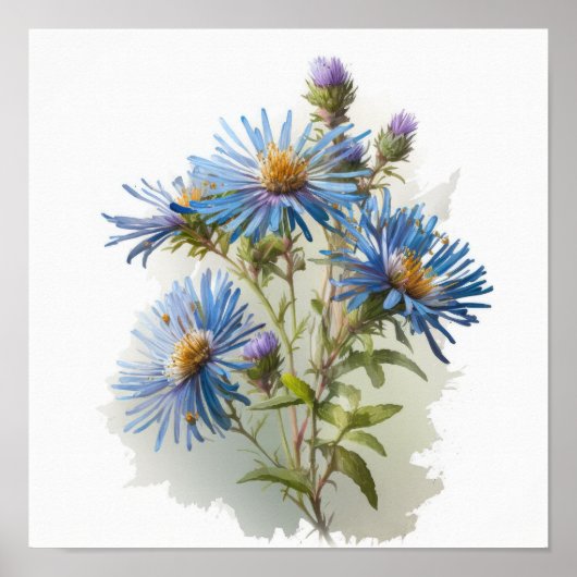 Blue Aster Flower Art Print Poster (Voorkant)