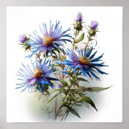 Blue Aster Flower Art Print Poster (Voorkant)