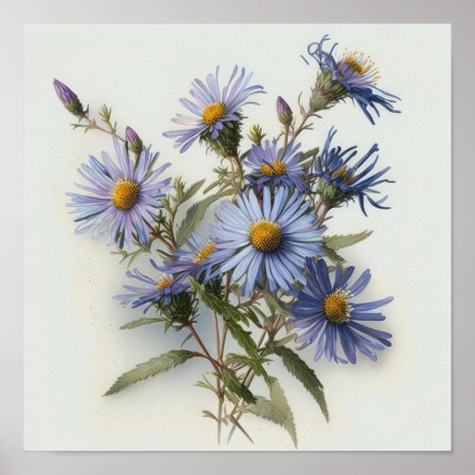 Blue Aster Flower Art Print Poster (Voorkant)