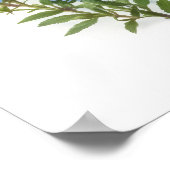 Blue Aster Flower Art Print Poster (Hoek)