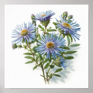 Blue Aster Flower Art Print Poster