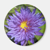 Blue Aster Magneet (Voorkant)
