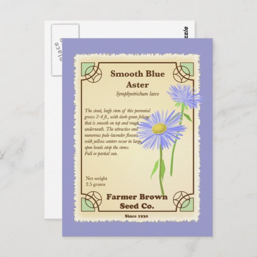 Blue Aster Seed Packet Briefkaart (Voorkant / Achterkant)